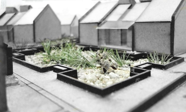 Projekt zagospodarowania terenu - zdjęcie makiety