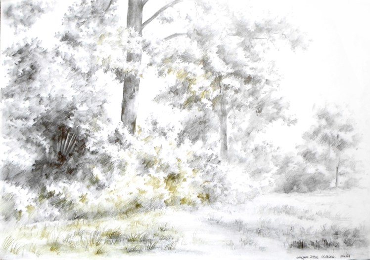 Krajobraz naturalny 1