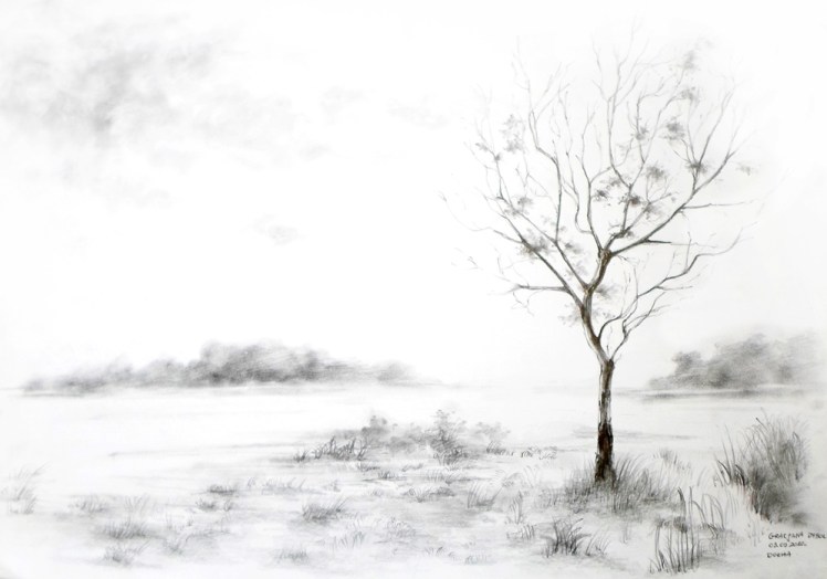 Krajobraz naturalny 4