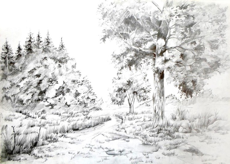 Krajobraz naturalny 8